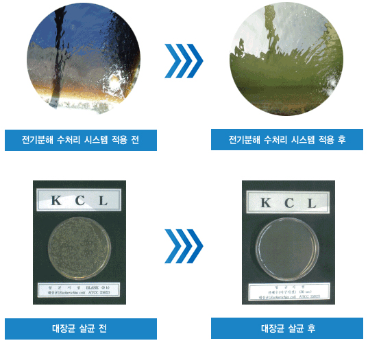 전기분해 수처리 시스템의 성능